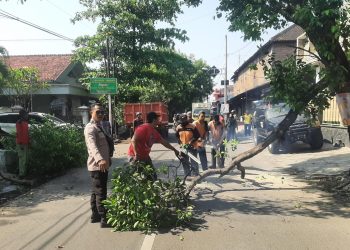 Antisipasi Pohon Tumbang, Bhabinkamtibmas Pajang Bersama Relawan Tebang Pohon Pinggir Jalan