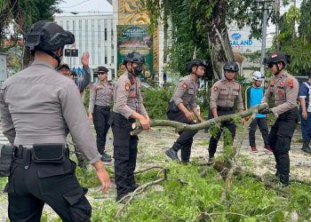 Sinergitas Polresta Surakarta dan BPBD Kota Surakarta Evakuasi Pohon Tumbang di Depan RS Kasih Ibu
